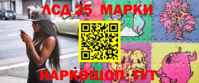 индика Новозыбков