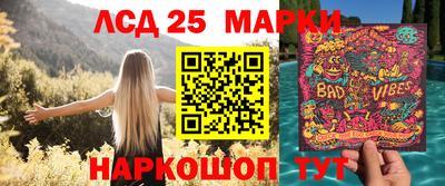 индика Новозыбков