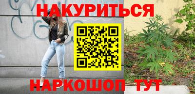 шишки Новодвинск