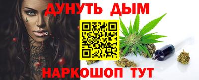 шишки Новодвинск