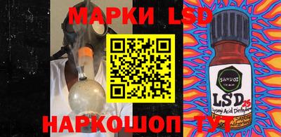 шишки Новодвинск