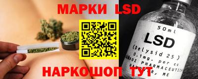 индика Новозыбков