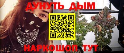 шишки Новодвинск