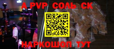 шишки Новодвинск