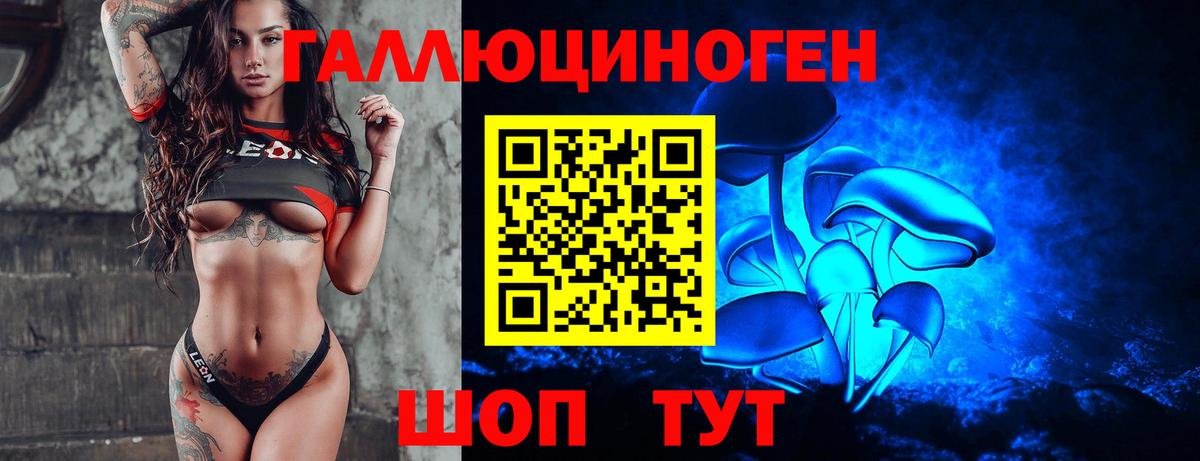 сколько стоит  Псилоцибиновые грибы Cubensis  Вход с VPN  Сланцы 